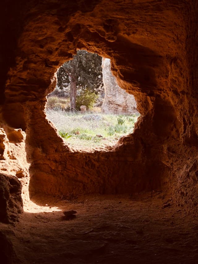 Warm sunlight entering a weathered stone cave through an irregular opening, with trees outside in Cyprus.